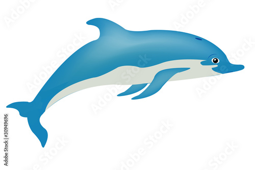 Fish dolphin on white
