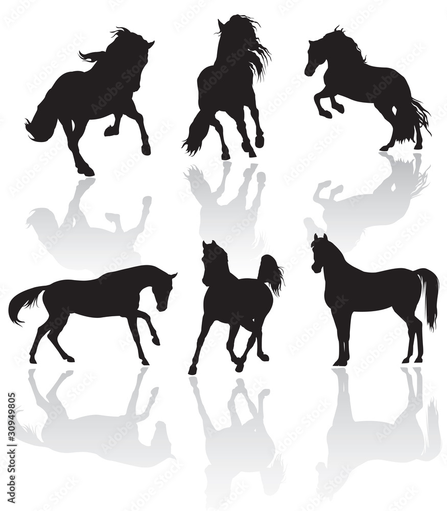 vector horse silhouettes