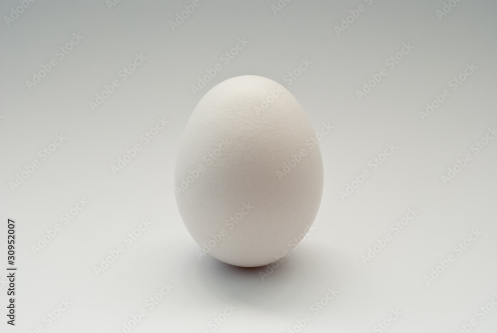 egg egg