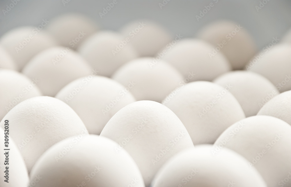 eggs eggs