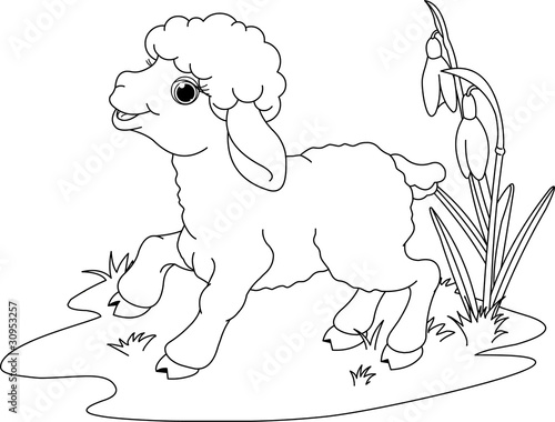 Easter lamb. Coloring page