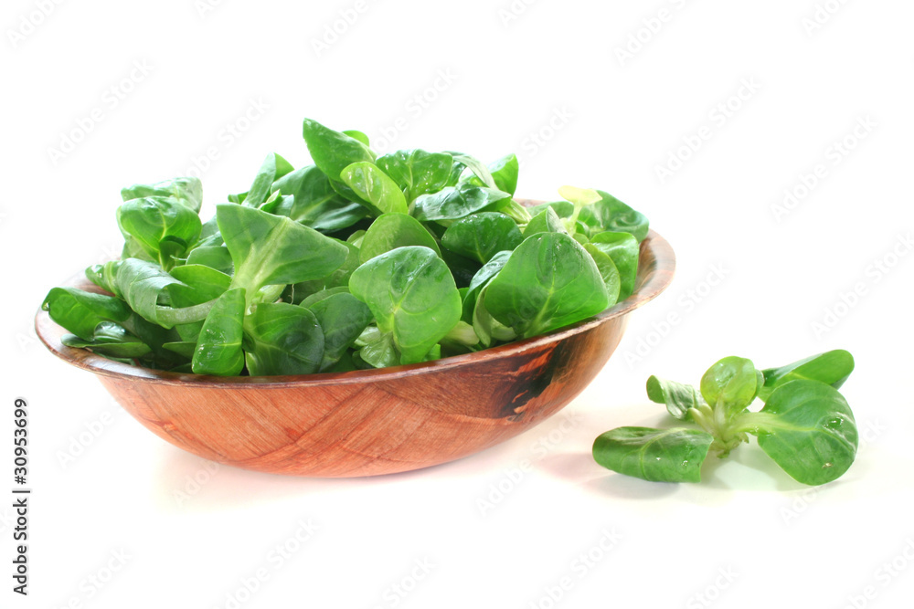 frischer Feldsalat frischer Feldsalat