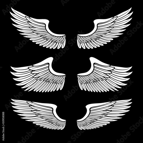 white angel wings set isolated on black © 100ker