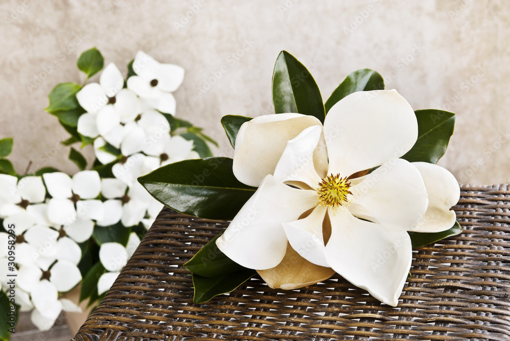 Naklejka premium Magnolia And Dogwood Still life