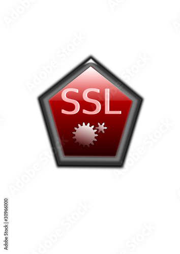 SSL icon