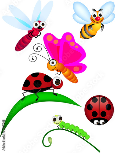 Insect cartoon © matamu