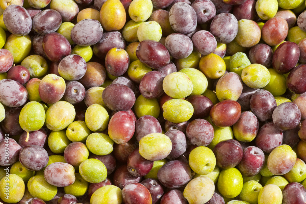 Freshly Harvested Olives Background Freshly Harvested Olives Background