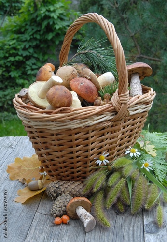 корзина с грибами