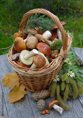 корзина с грибами