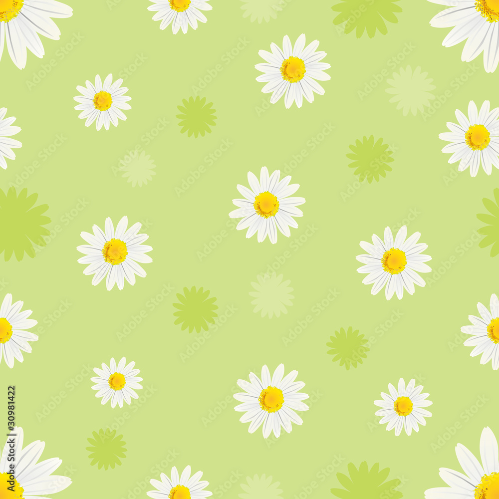 white daisies pattern white daisies pattern