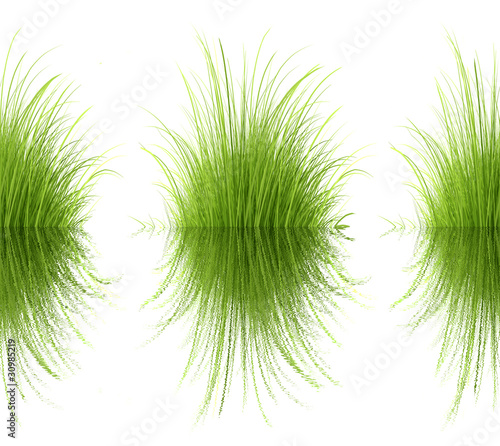 Isolated clumps of grass in water