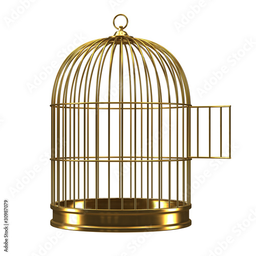 Fotografia, Obraz 3d Gilded bird cage with open door