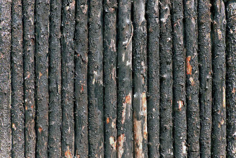 burnt woden paling closeup