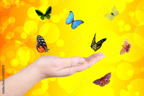 Yellow circles and butterfly