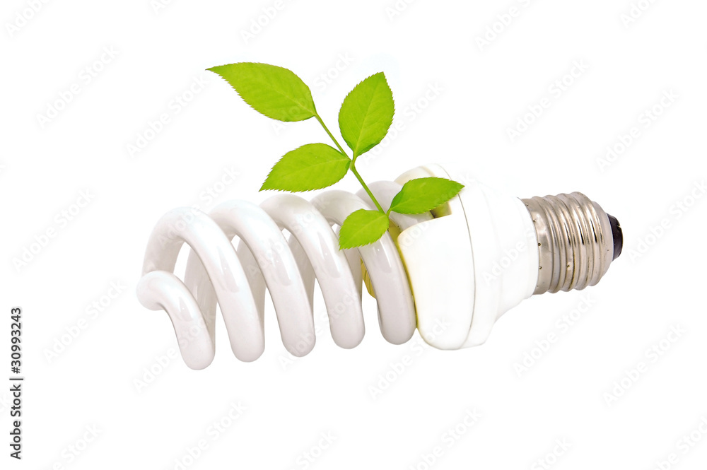 Energy saving light bulb and plant on white background Energy saving light bulb and plant on white background
