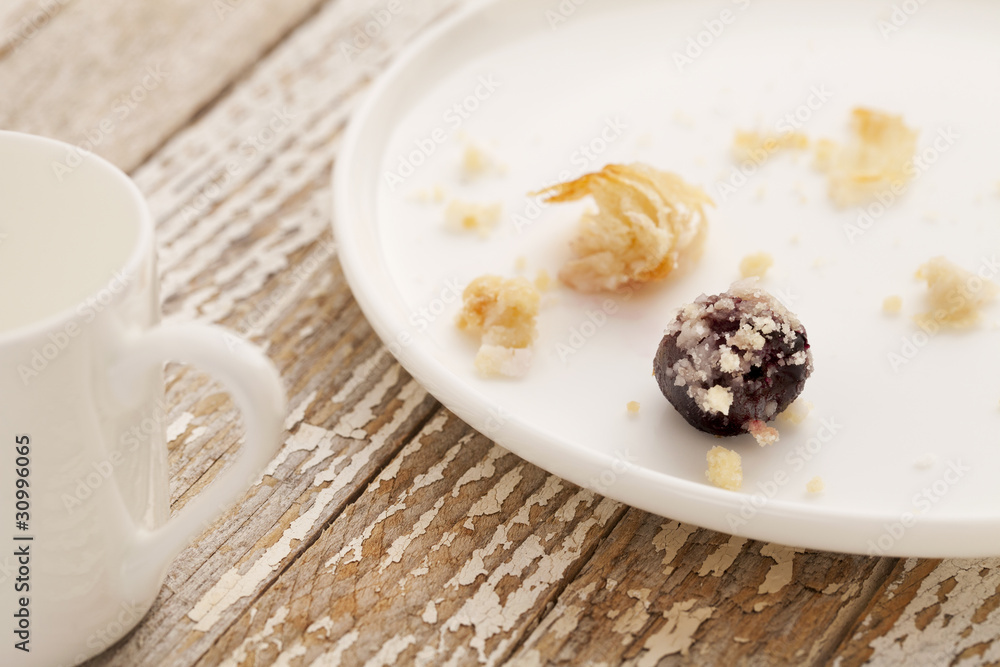 dessert gone - pastry crumbs dessert gone - pastry crumbs