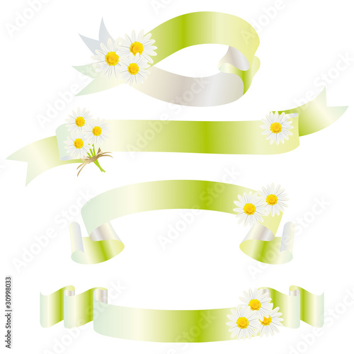daisy ribbon