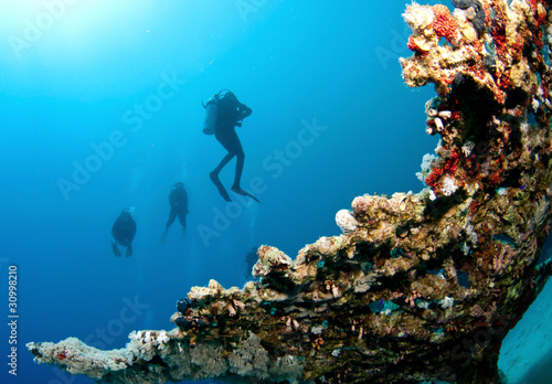 scuba divers and coral reef