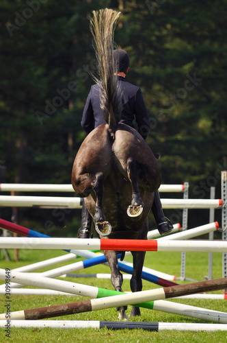 Show jumping, Horse during flight