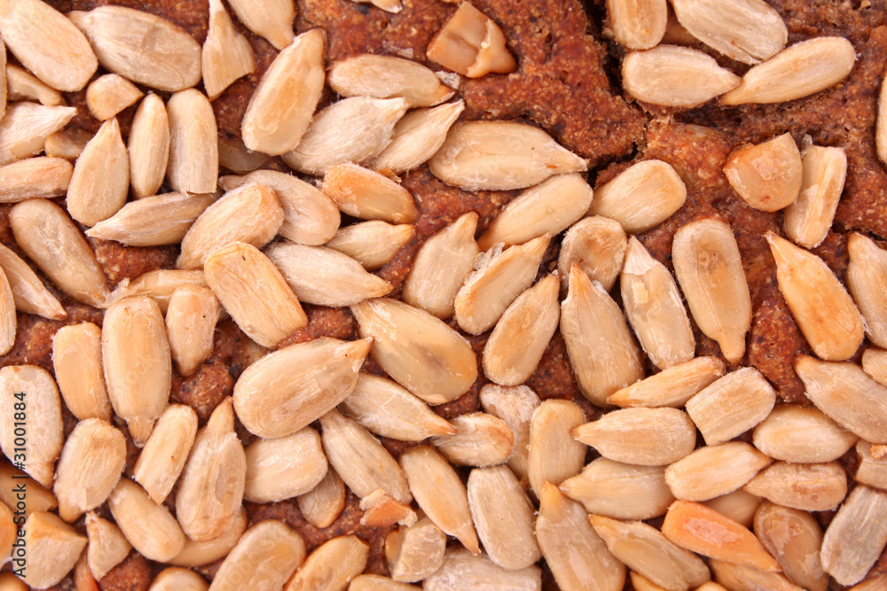 fresh sunflower seeds on a bread background fresh sunflower seeds on a bread background