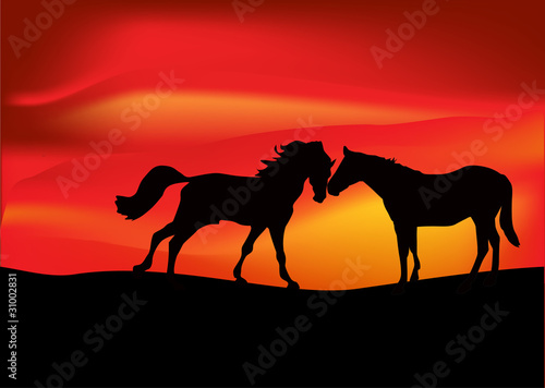 two horses at red sunset illustration