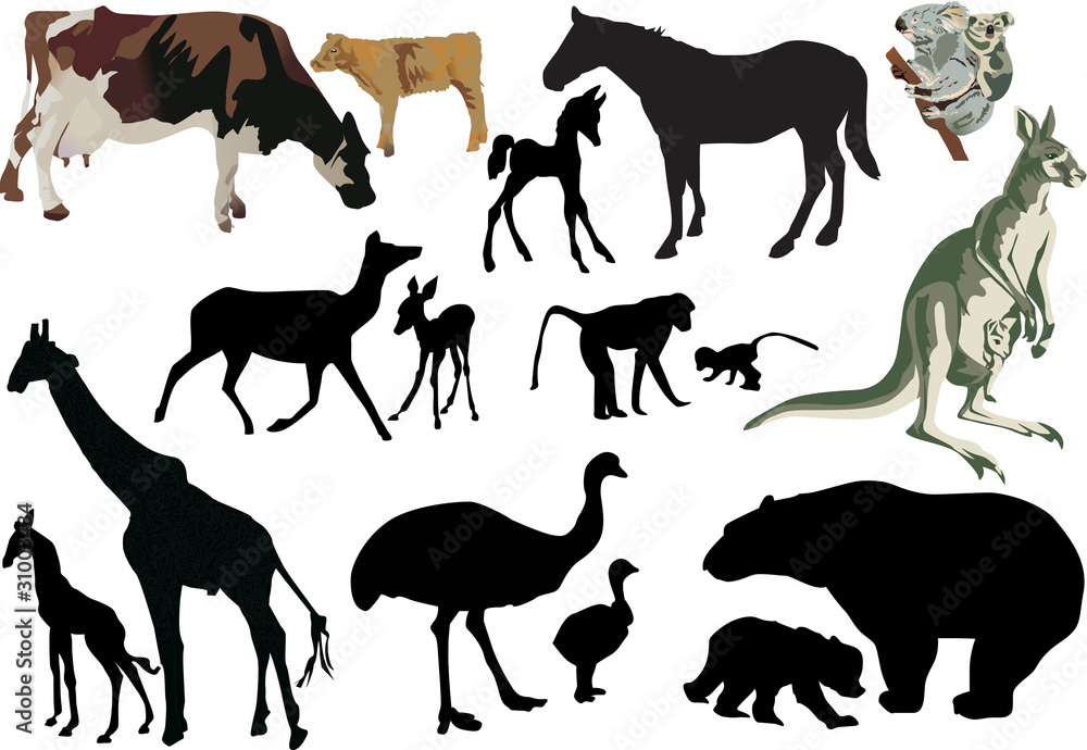 set of animal babies and its parents