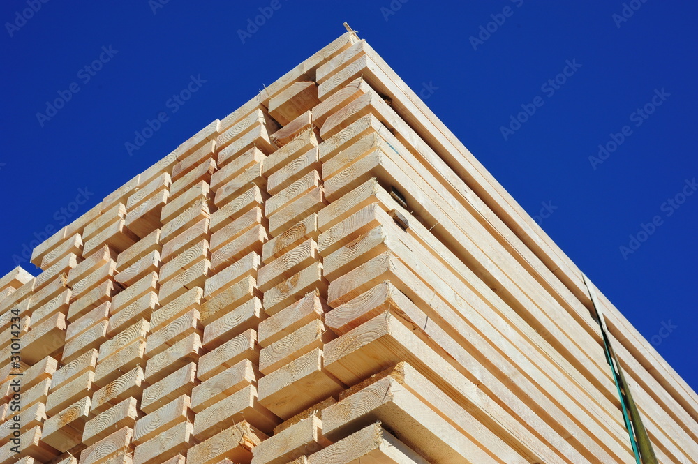 holz holz