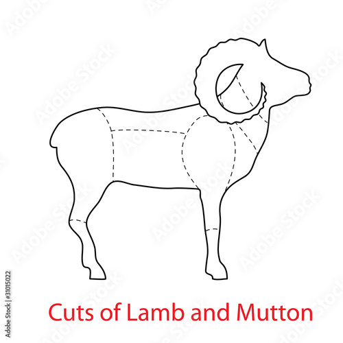 Cuts-of-Lamb-and-Mutton