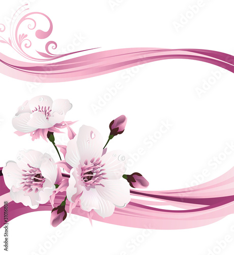 Oriental style painting, cherry blossom in spring