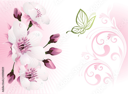 Cherry blossom with floral background