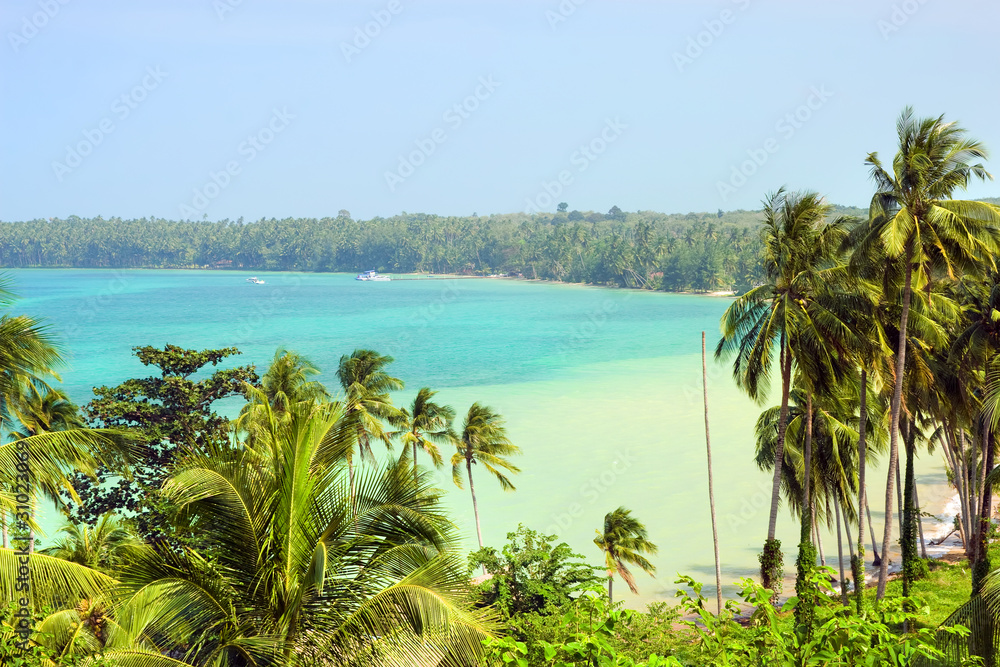 Tropical Coastline Scenery