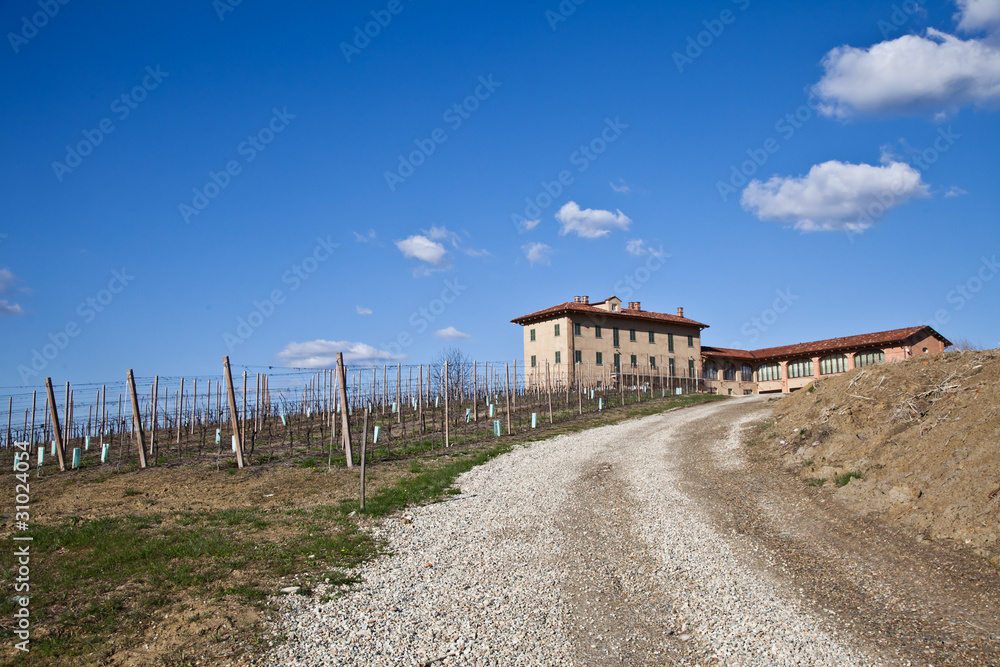 Italian villa with vineyard: spring season Italian villa with vineyard: spring season