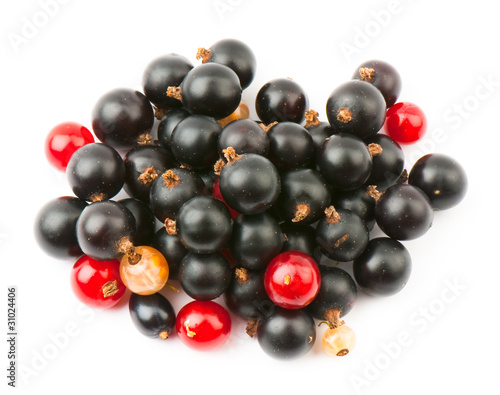 currant