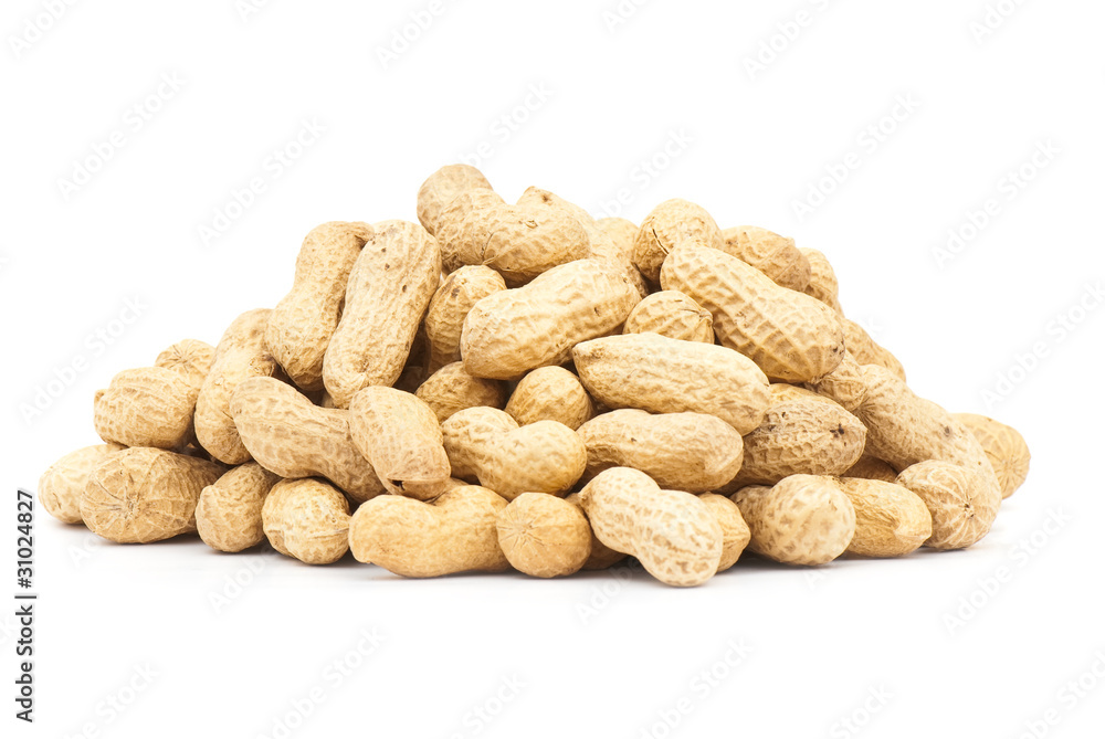 Peanut Peanut