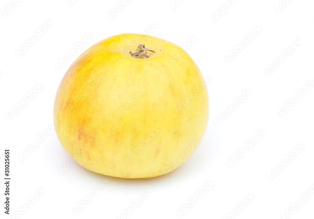 Apple Apple