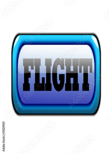 flight icon
