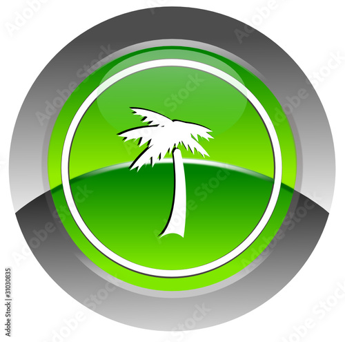 Palm glosyy icon