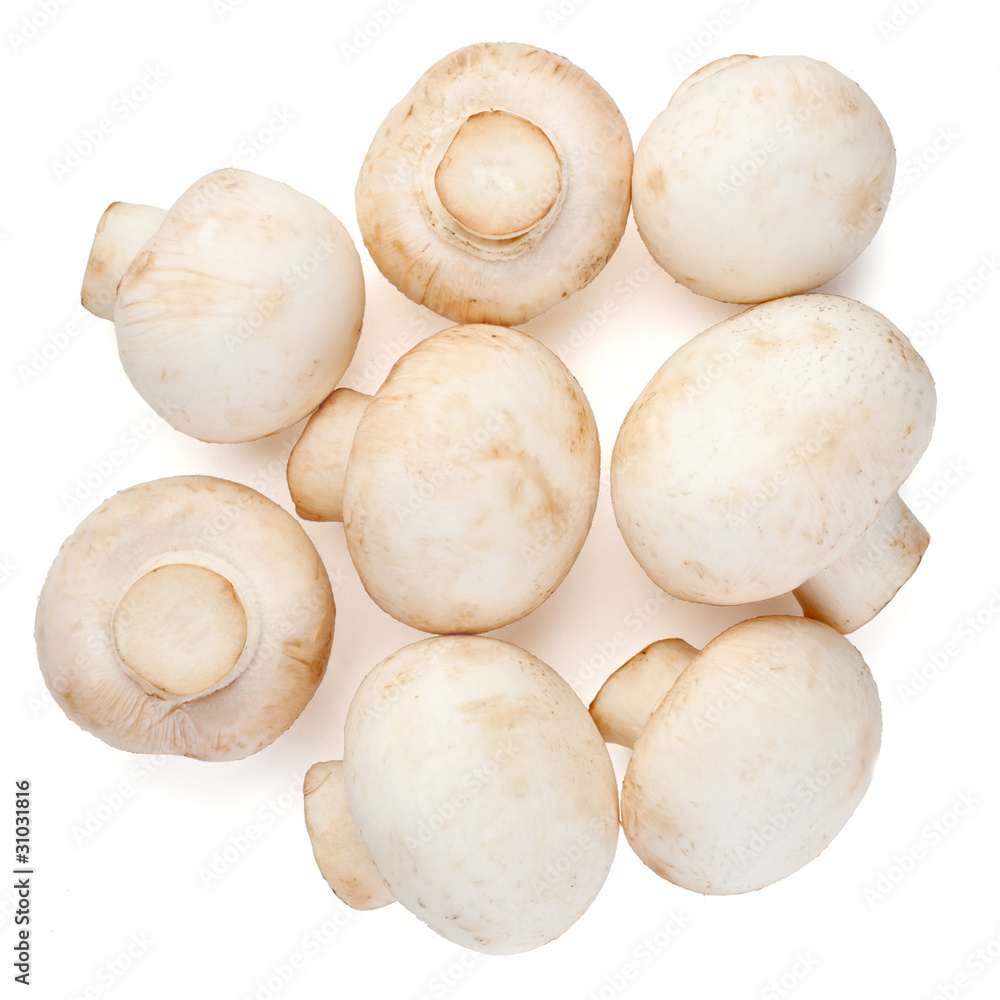 Champignons on white background Champignons on white background