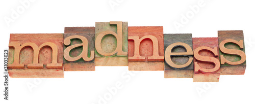 Quadro su tela madness word in letterpress type