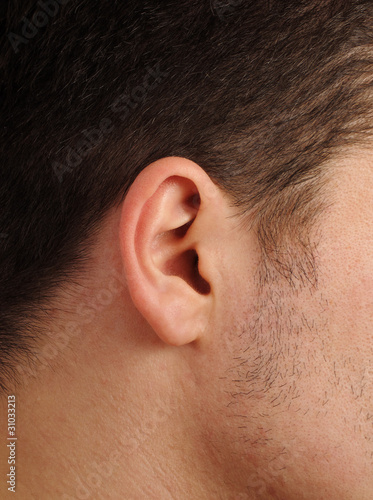 Perfect human ear