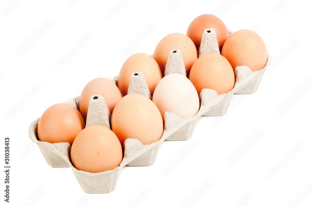 Brown eggs in the box isolated