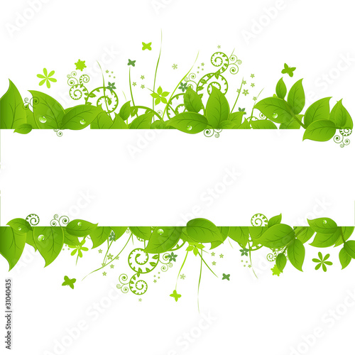 Green Leafs And Grass
