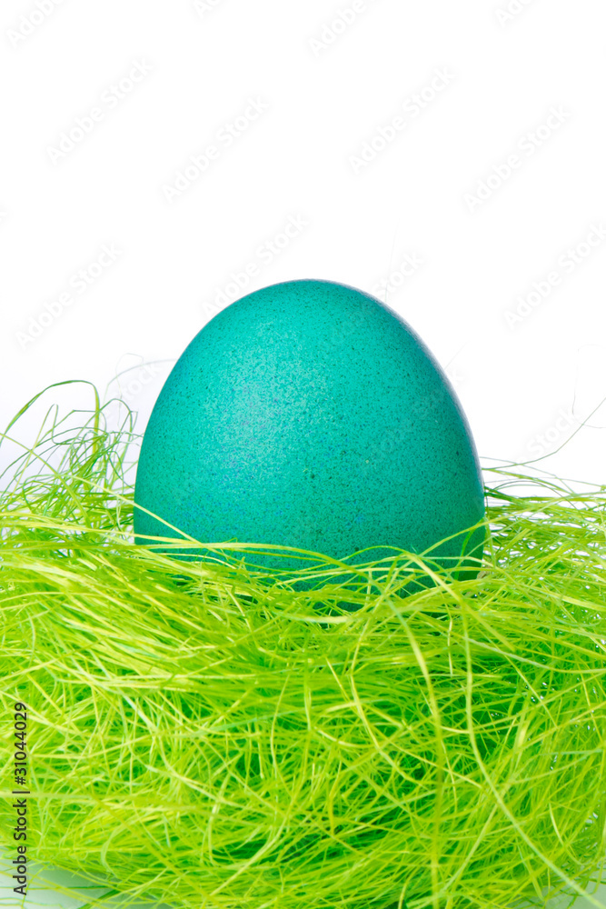 easter egg in nest easter egg in nest