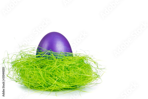 easter egg in nest