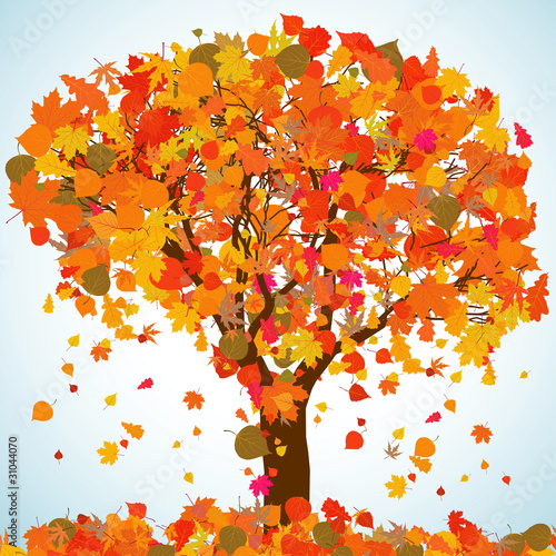 Beautiful autumn tree for your design. EPS 8