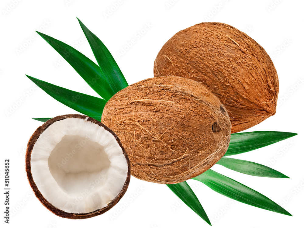 coconut isolated on white background coconut isolated on white background