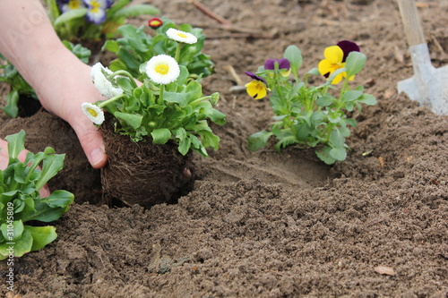 Gartenarbeit photo