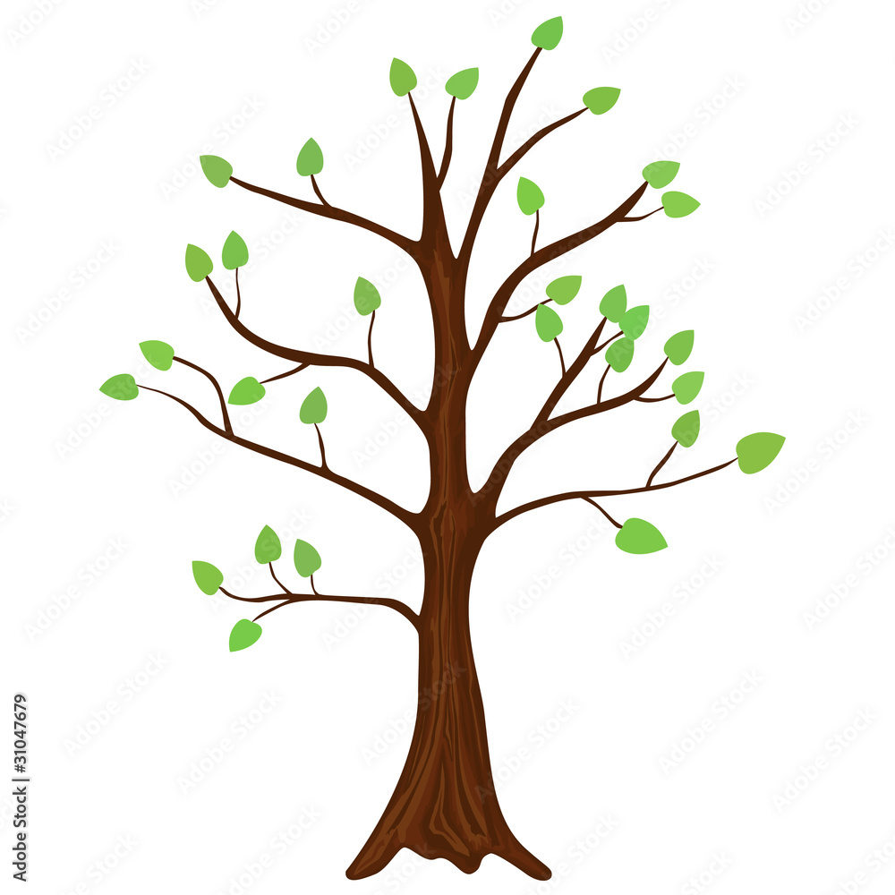 Obraz premium Drzewo