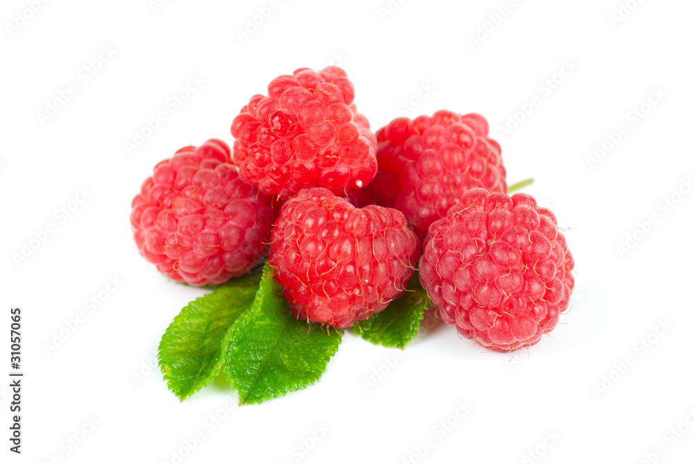 fresh raspberry fresh raspberry