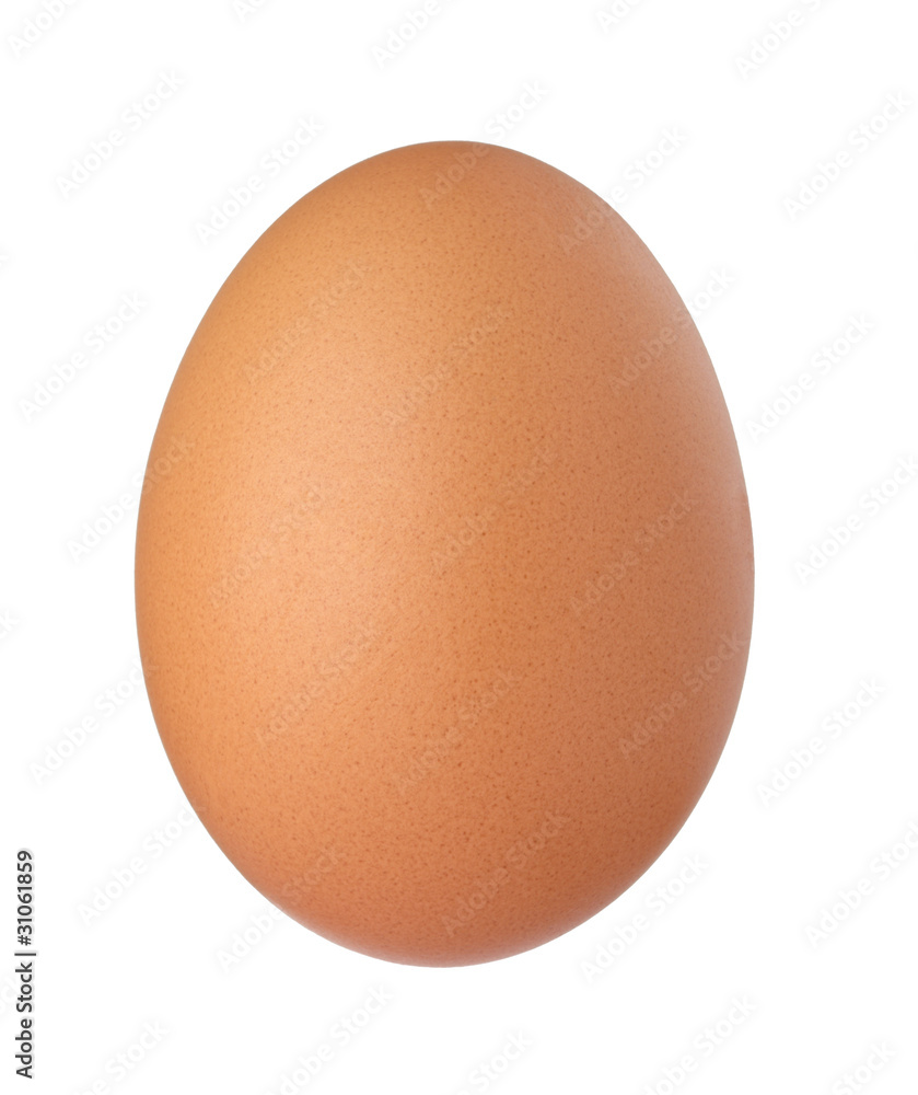 egg food egg food
